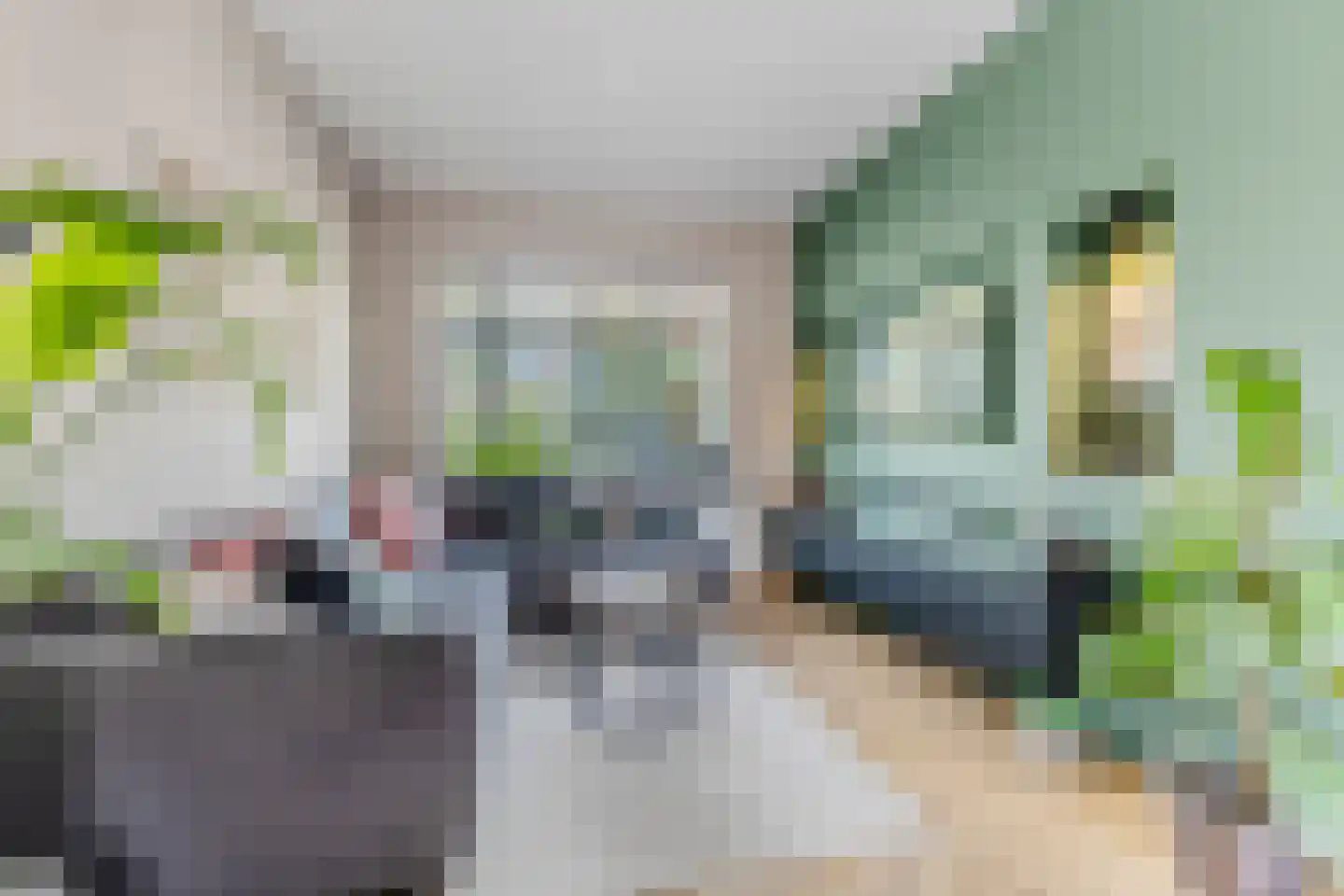 Pieter Gerritszn Visstraat 9 Zaandijk thumbnail 5