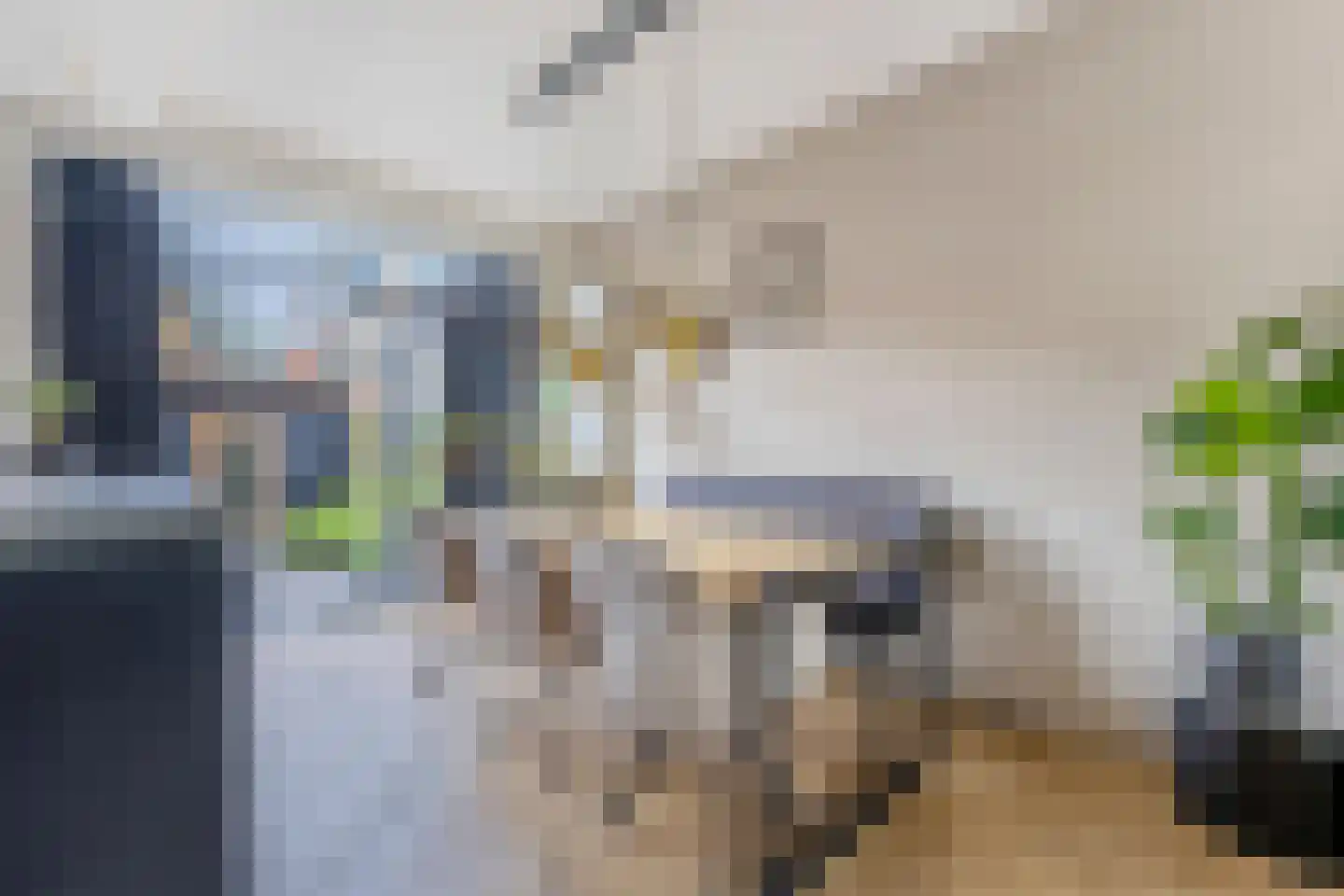 Pieter Gerritszn Visstraat 9 Zaandijk thumbnail 6