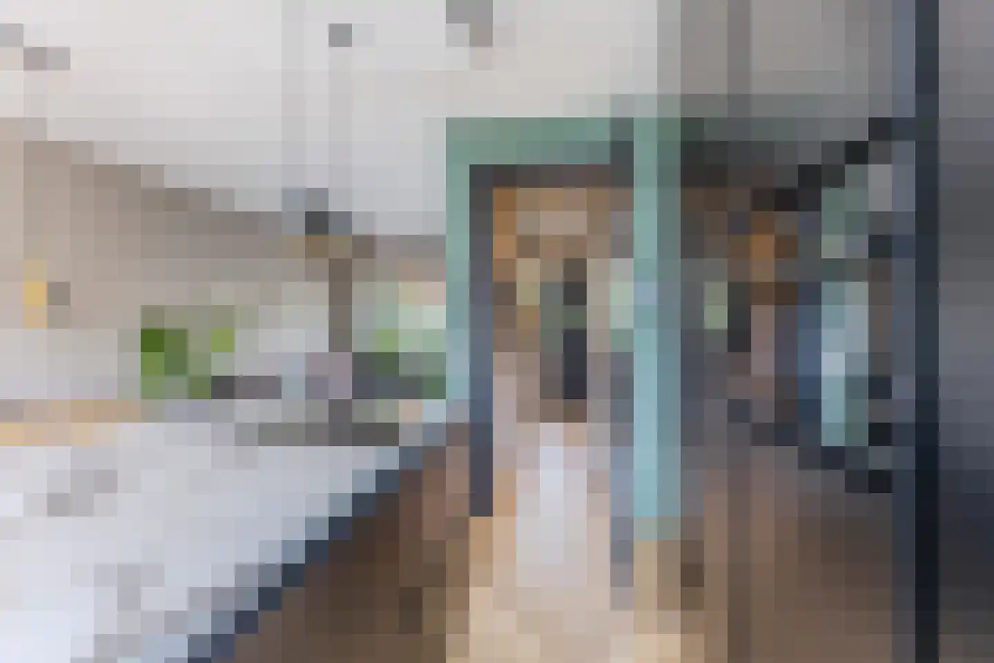 Pieter Gerritszn Visstraat 9 Zaandijk thumbnail 9