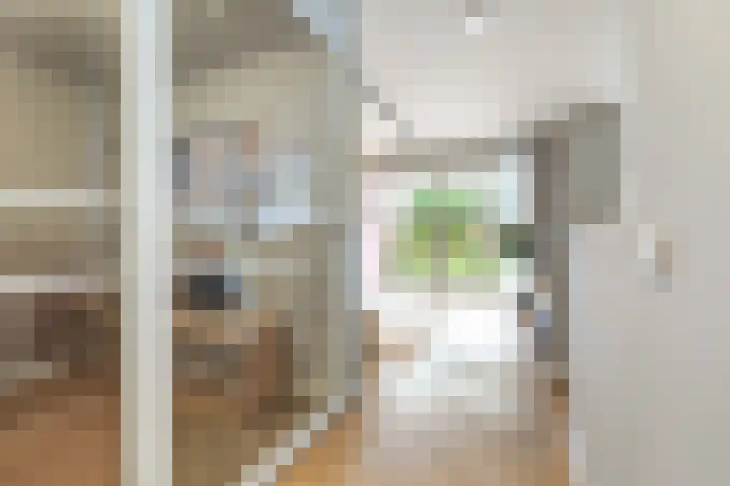 Pieter Goosstraat 90 Amsterdam thumbnail 11