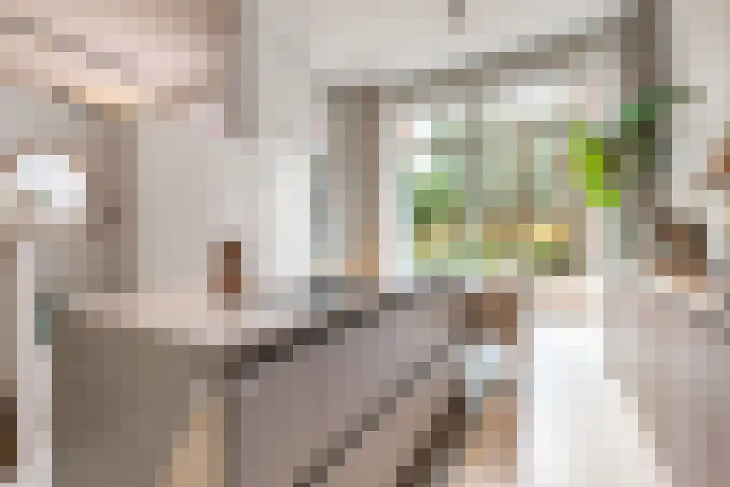 Pieter Goosstraat 90 Amsterdam thumbnail 15