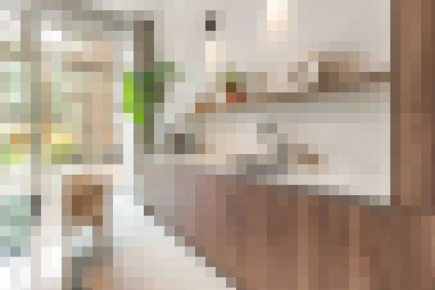 Pieter Goosstraat 90 Amsterdam thumbnail 17