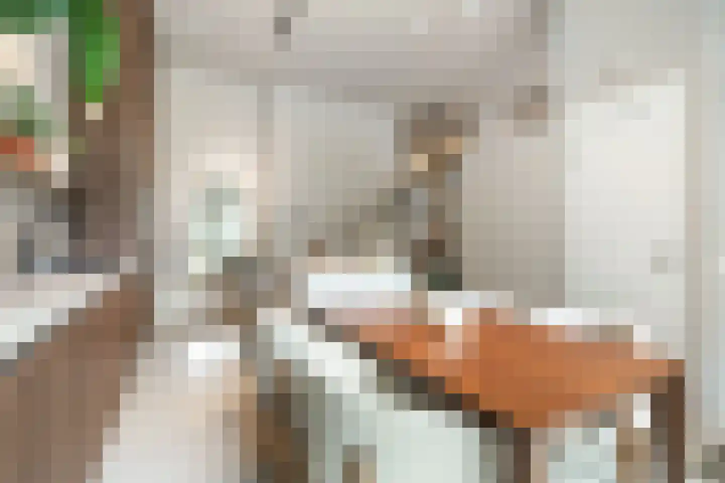 Pieter Goosstraat 90 Amsterdam thumbnail 28