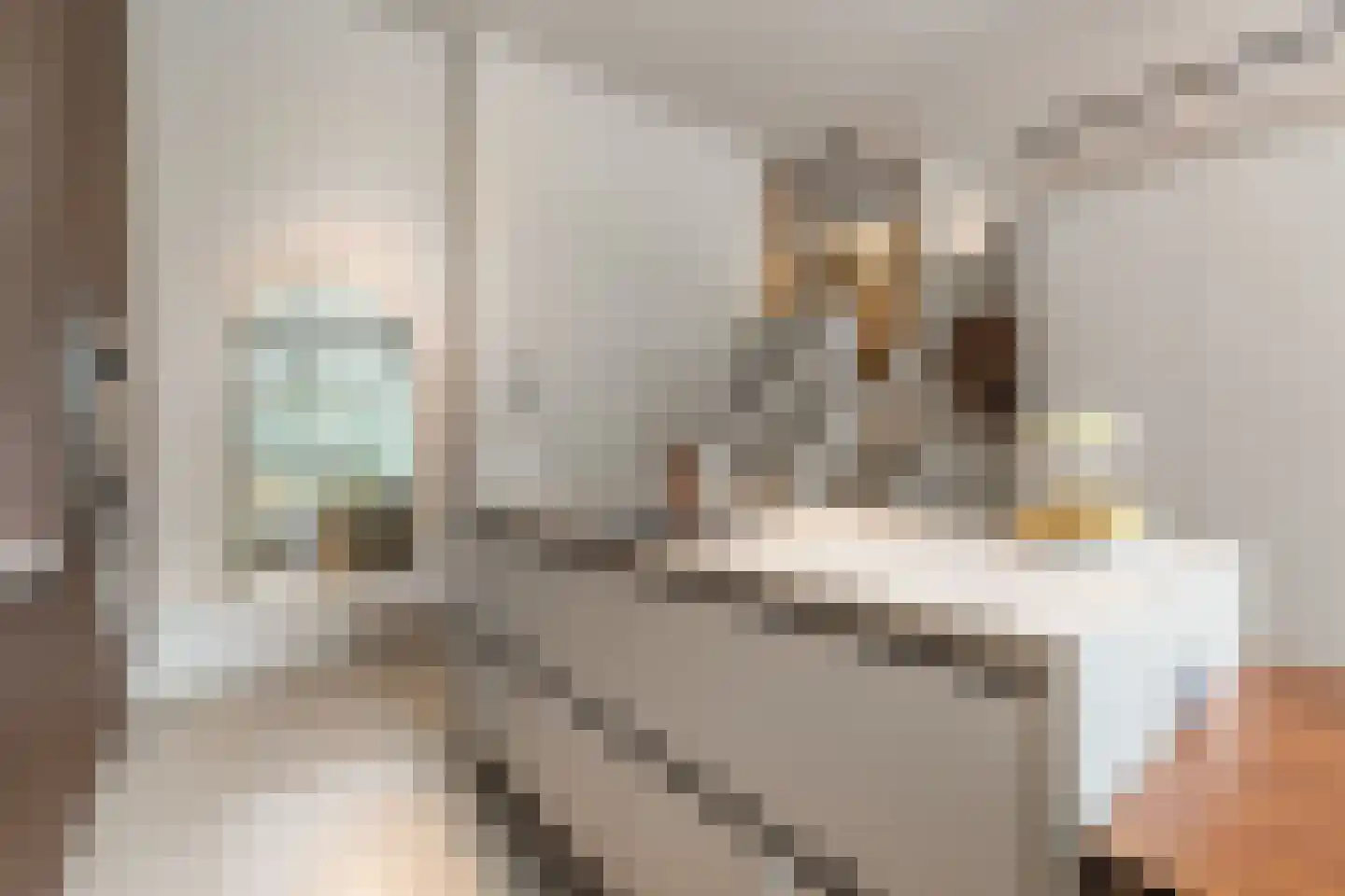 Pieter Goosstraat 90 Amsterdam thumbnail 29