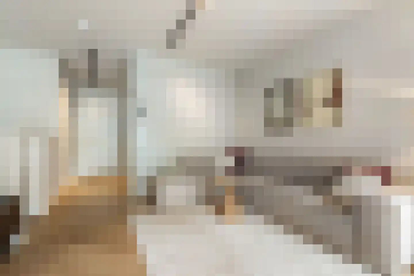 Pieter Goosstraat 90 Amsterdam thumbnail 7