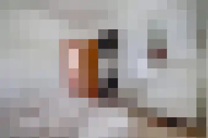Pieter Gootjesstraat 7 Middelburg thumbnail 23