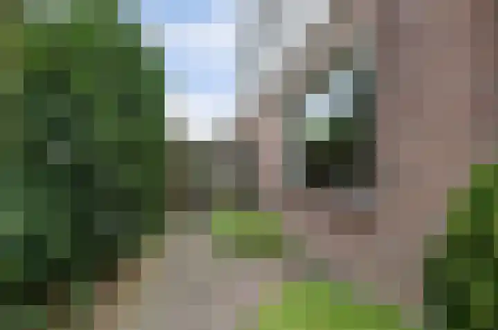 Pieter Gootjesstraat 7 Middelburg thumbnail 41
