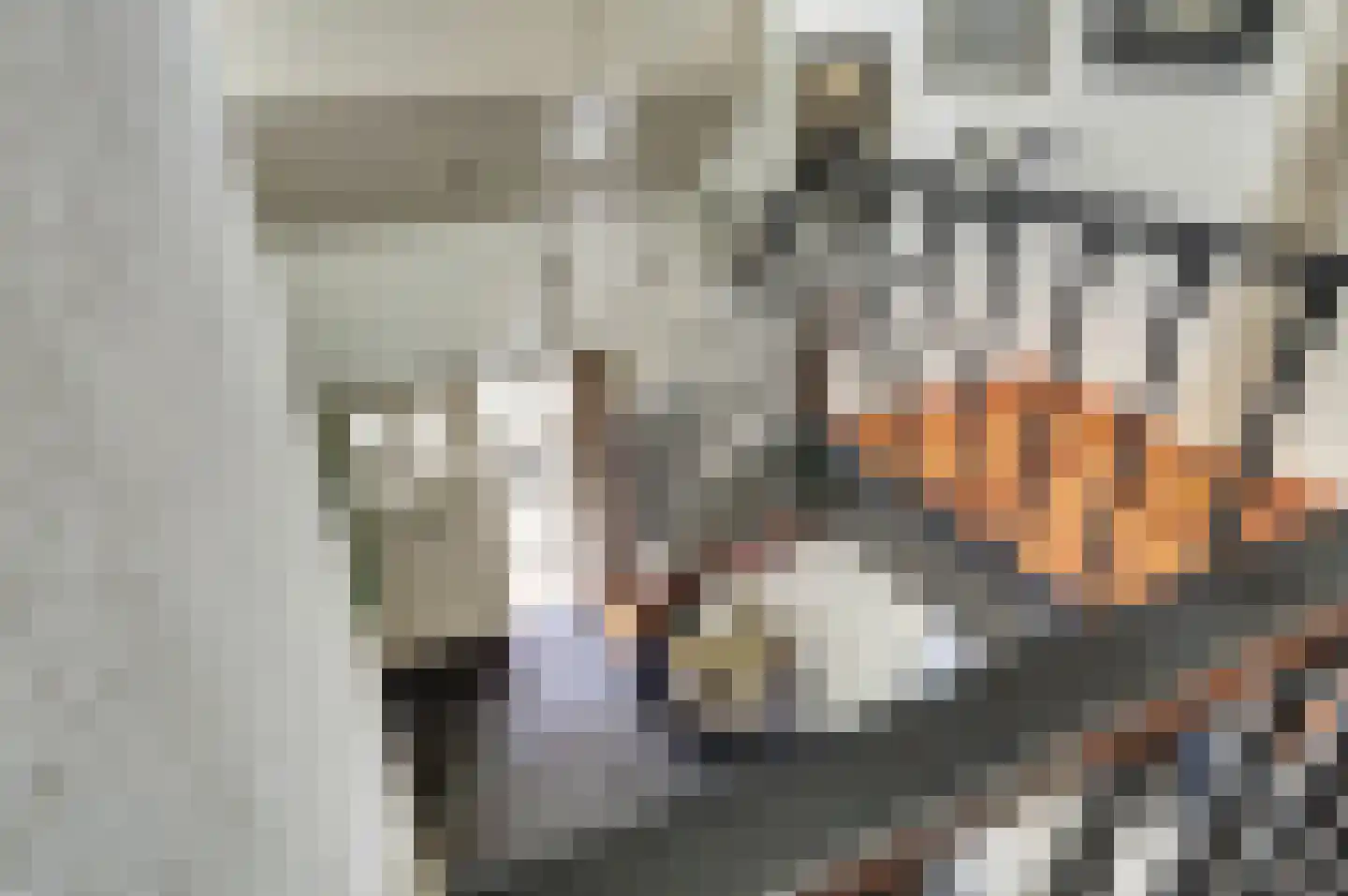 Pieter Gootjesstraat 8 Middelburg thumbnail 41