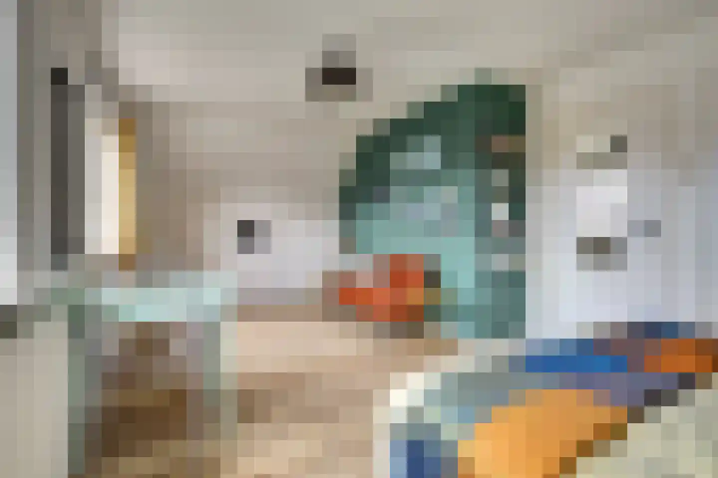 Pieter Gootjesstraat 8 Middelburg thumbnail 43