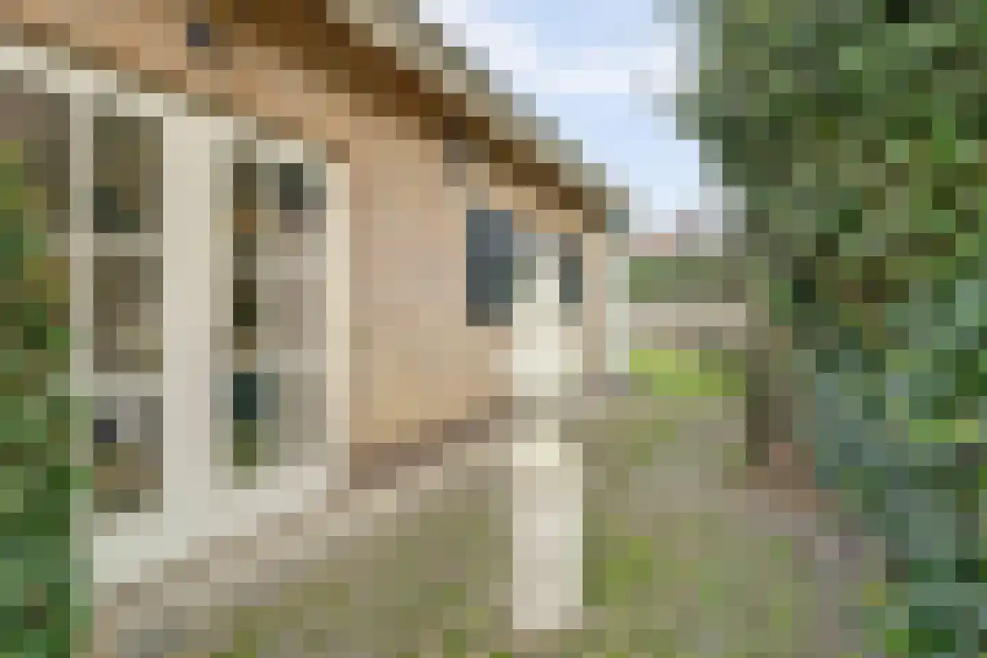 Pieter Gootjesstraat 8 Middelburg thumbnail 64