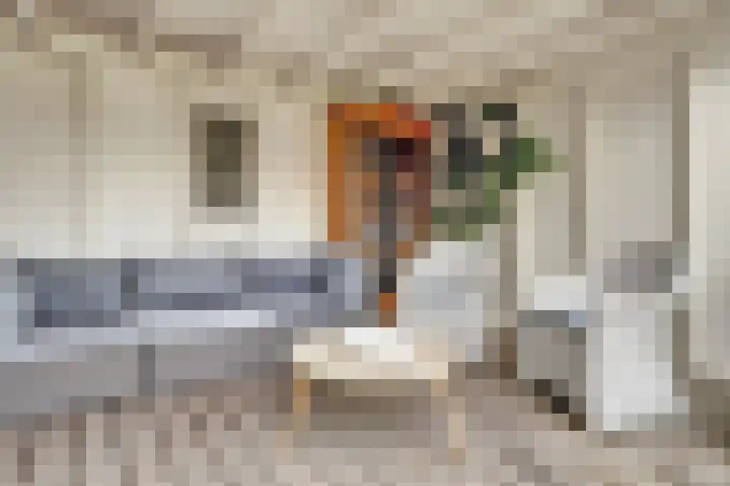 Pieter Gootjesstraat 8 Middelburg thumbnail 68