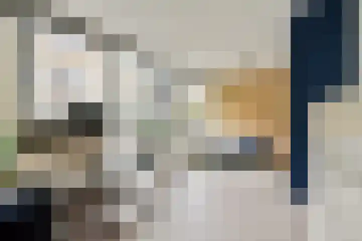 Pieter Holmstraat 7 Amsterdam thumbnail 17