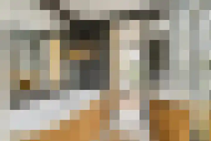 Pieter Holmstraat 7 Amsterdam thumbnail 19