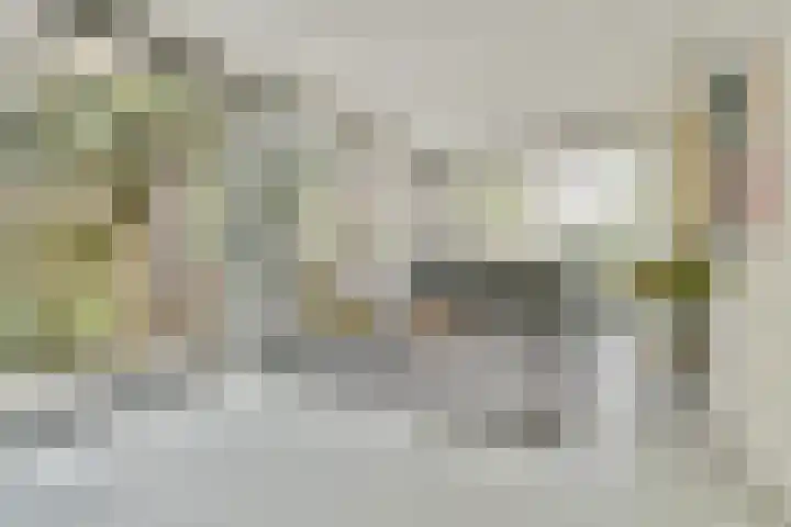 Pieter Holmstraat 7 Amsterdam thumbnail 5