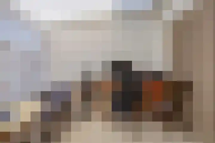 Pieter Huyssensweg 7 Eindhoven thumbnail 19