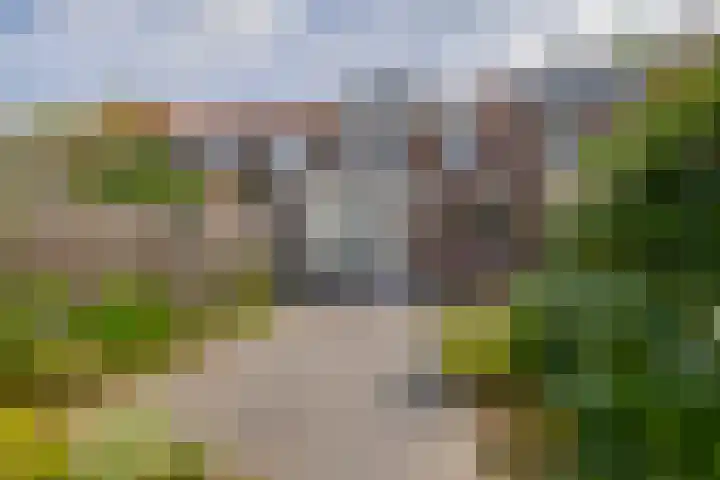 Pieter Huyssensweg 7 Eindhoven thumbnail 31