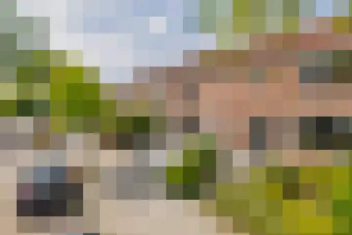 Pieter Huyssensweg 7 Eindhoven thumbnail 35