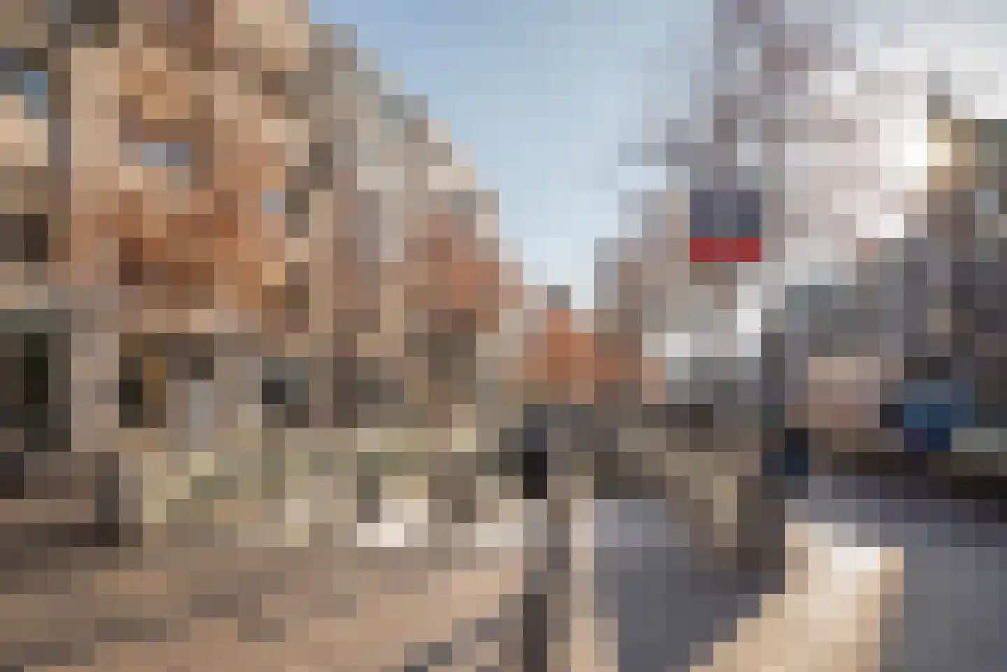 Pieter Jacobszstraat 10 C Amsterdam thumbnail 21