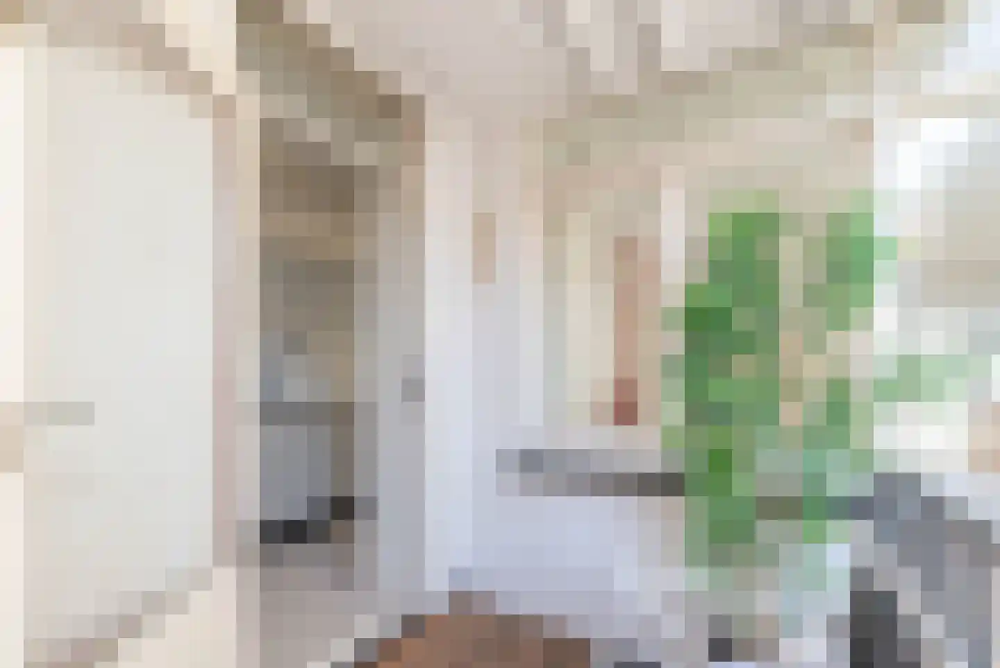 Pieter Jacobszstraat 10 C Amsterdam thumbnail 7