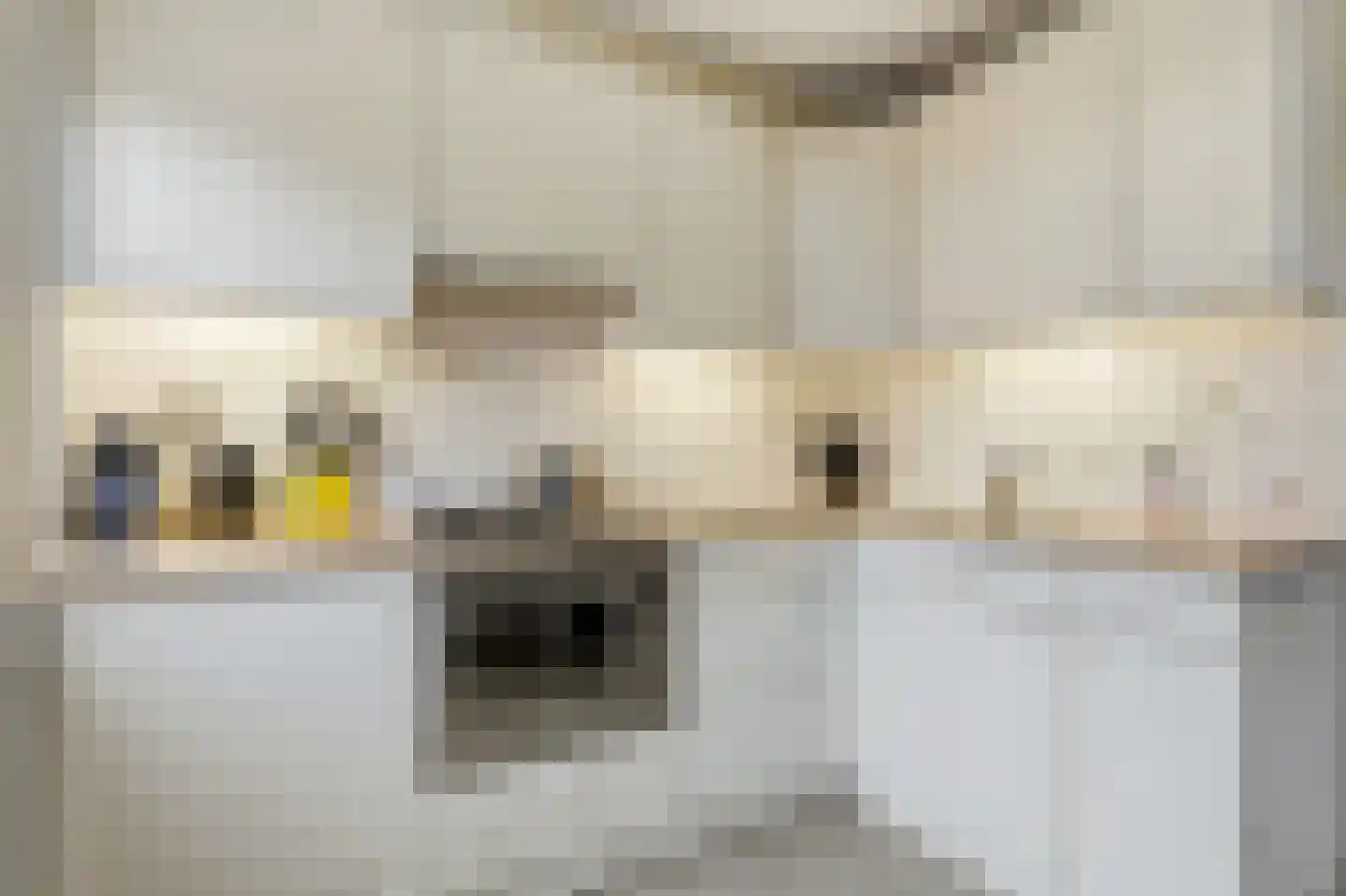 Pieter Jacobszstraat 15 A Amsterdam thumbnail 13