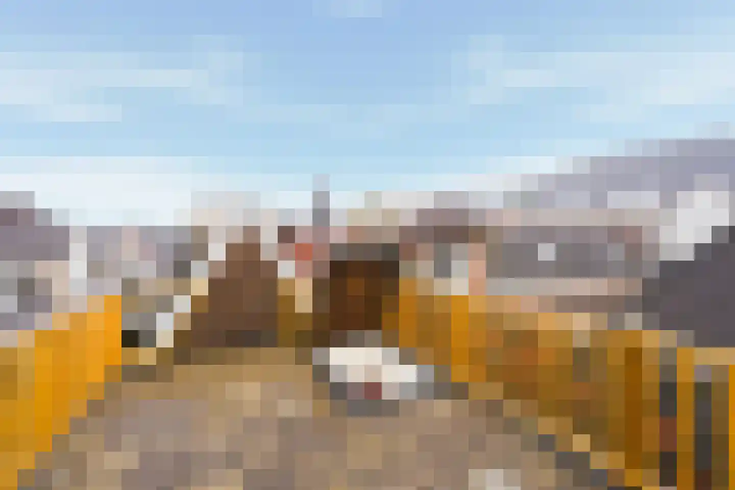 Pieter Jacobszstraat 15 A Amsterdam thumbnail 25