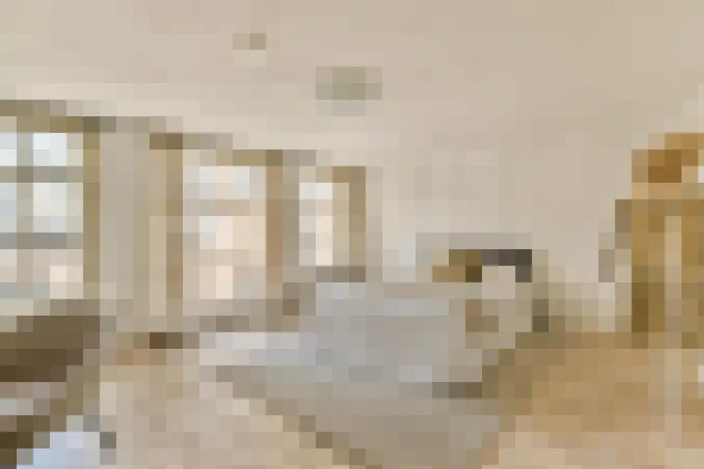 Pieter Jacobszstraat 28 Amsterdam thumbnail 13