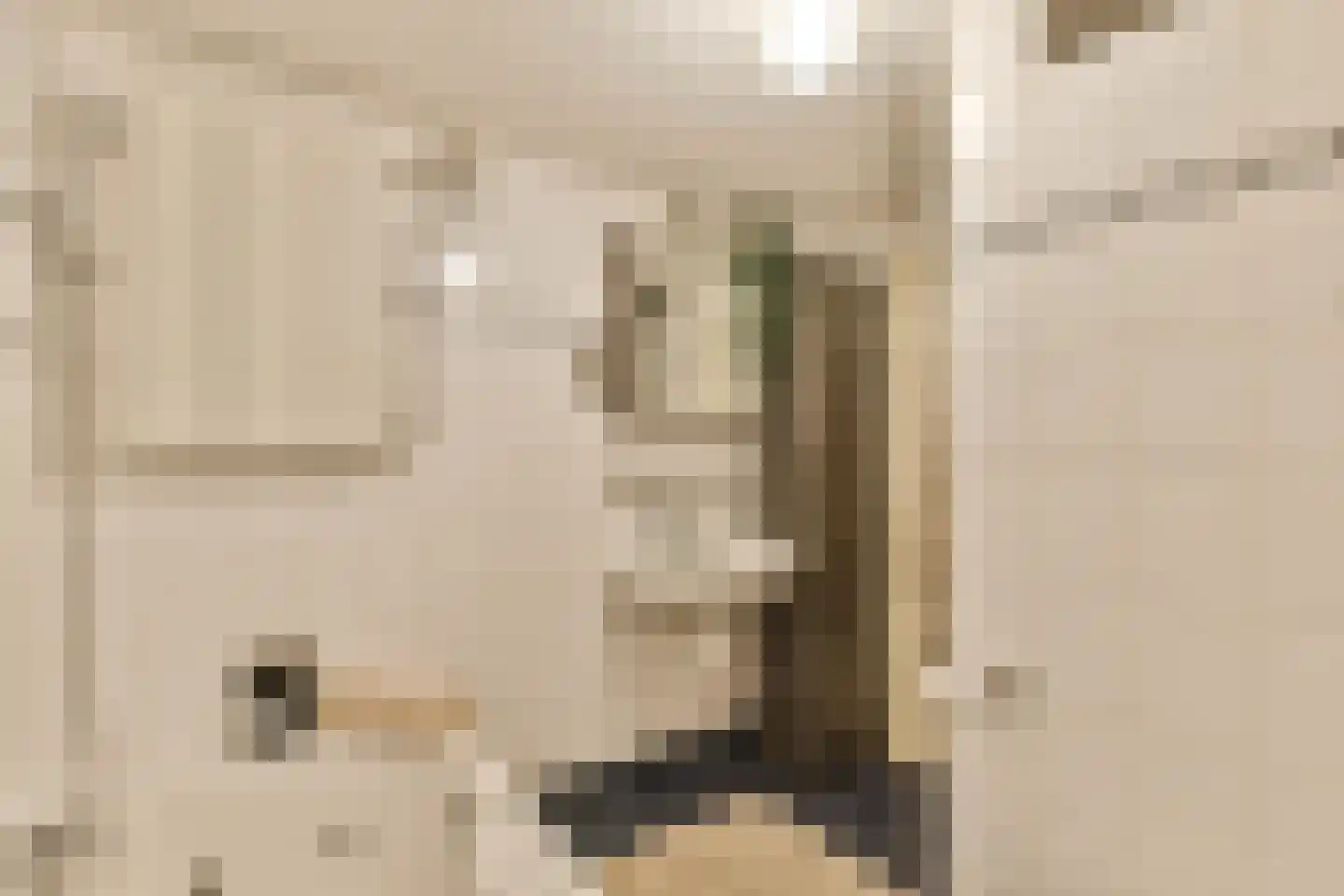 Pieter Jacobszstraat 28 Amsterdam thumbnail 16