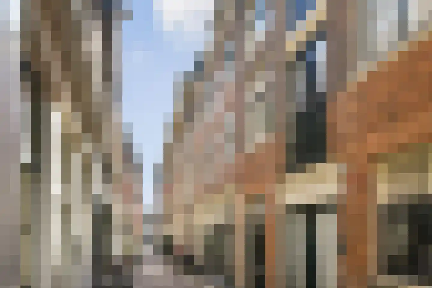 Pieter Jacobszstraat 28 Amsterdam thumbnail 19