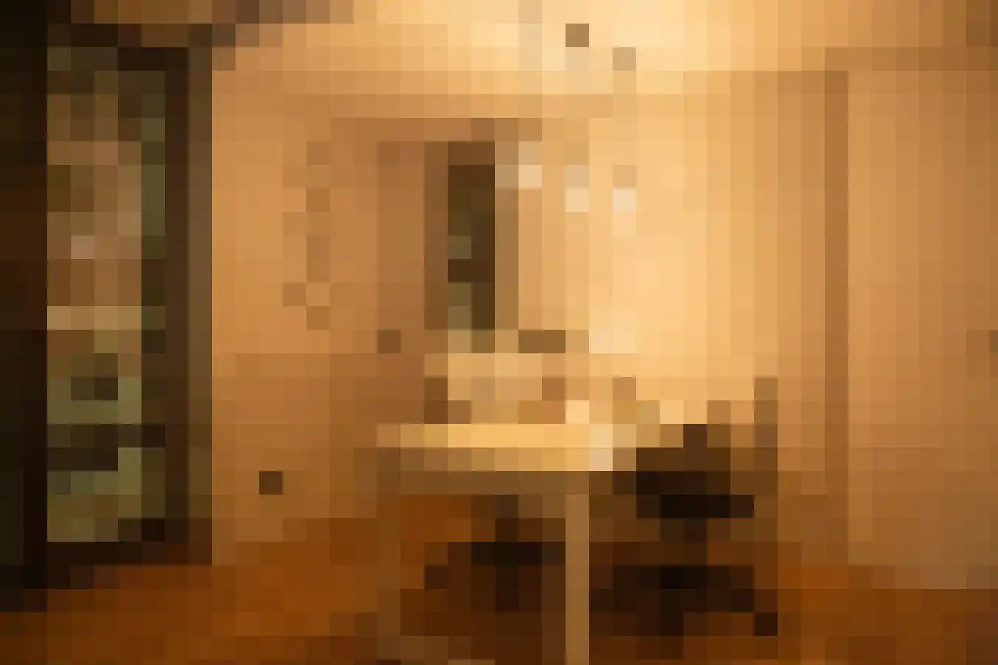 Pieter Jacobszstraat 29 Amsterdam thumbnail 13