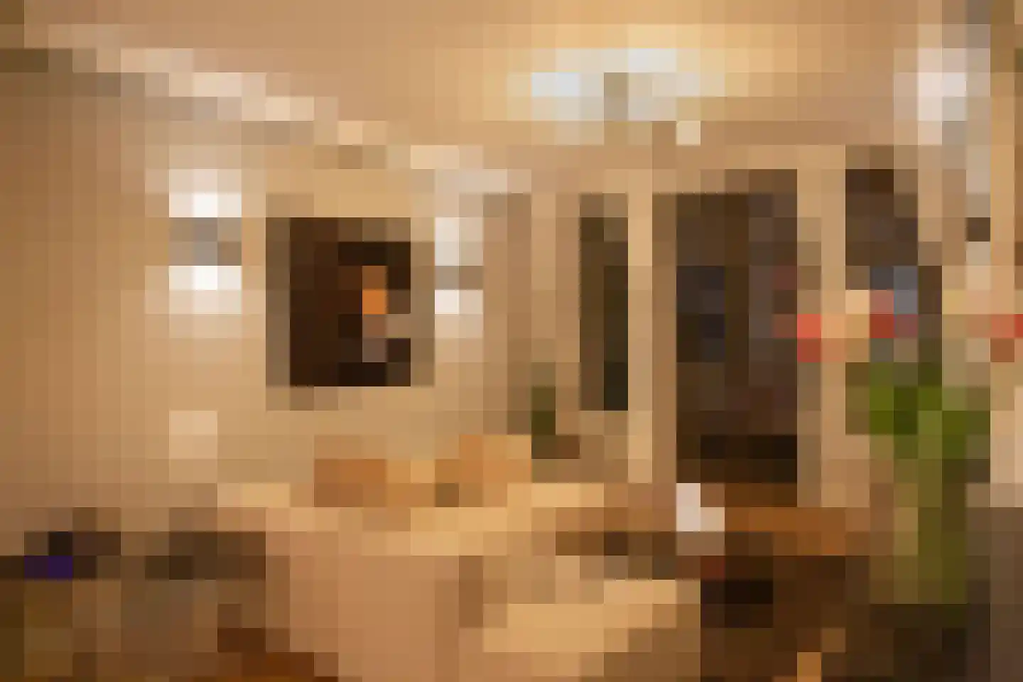 Pieter Jacobszstraat 29 Amsterdam thumbnail 14