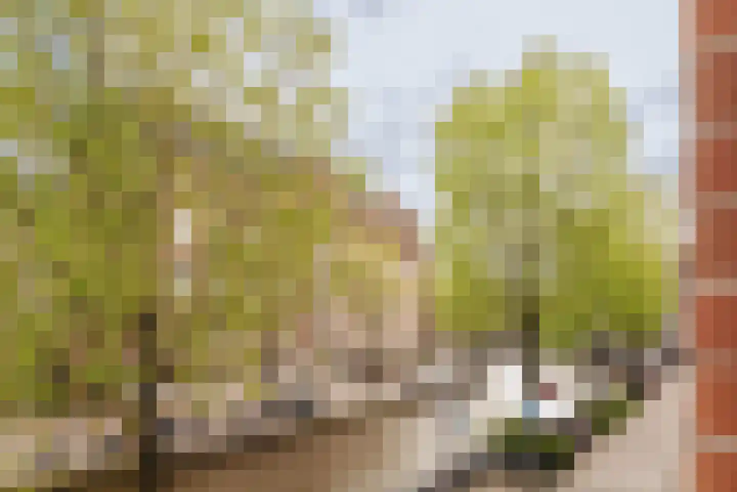 Pieter Jacobszstraat 29 Amsterdam thumbnail 17