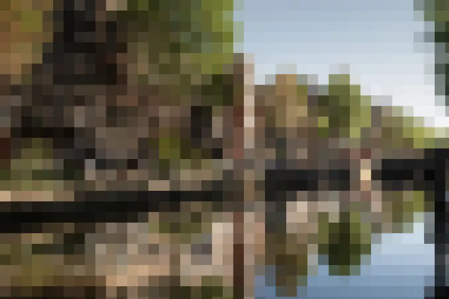 Pieter Jacobszstraat 29 Amsterdam thumbnail 19