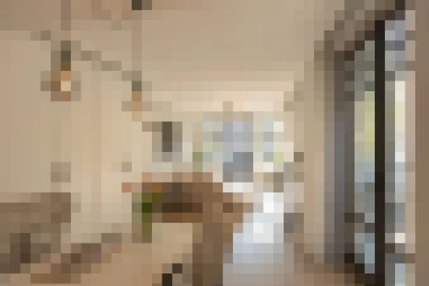 Pieter Jacobszstraat 29 Amsterdam thumbnail 28