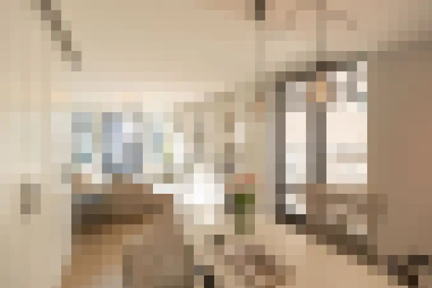 Pieter Jacobszstraat 29 Amsterdam thumbnail 29