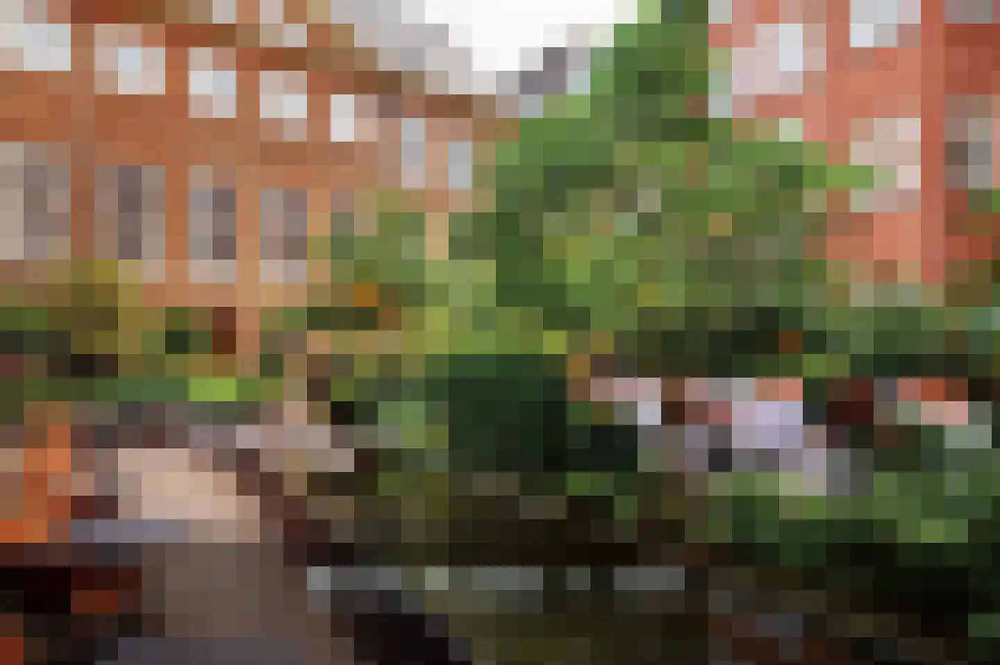 Pieter Jacobszstraat 29 Amsterdam thumbnail 40