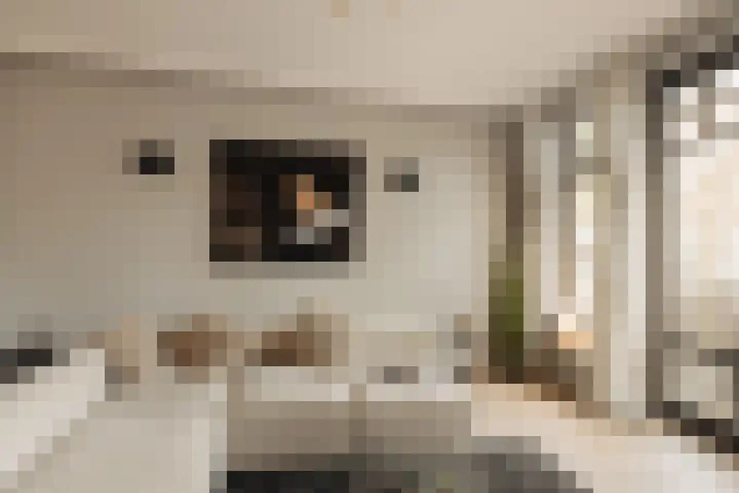 Pieter Jacobszstraat 29 Amsterdam thumbnail 8