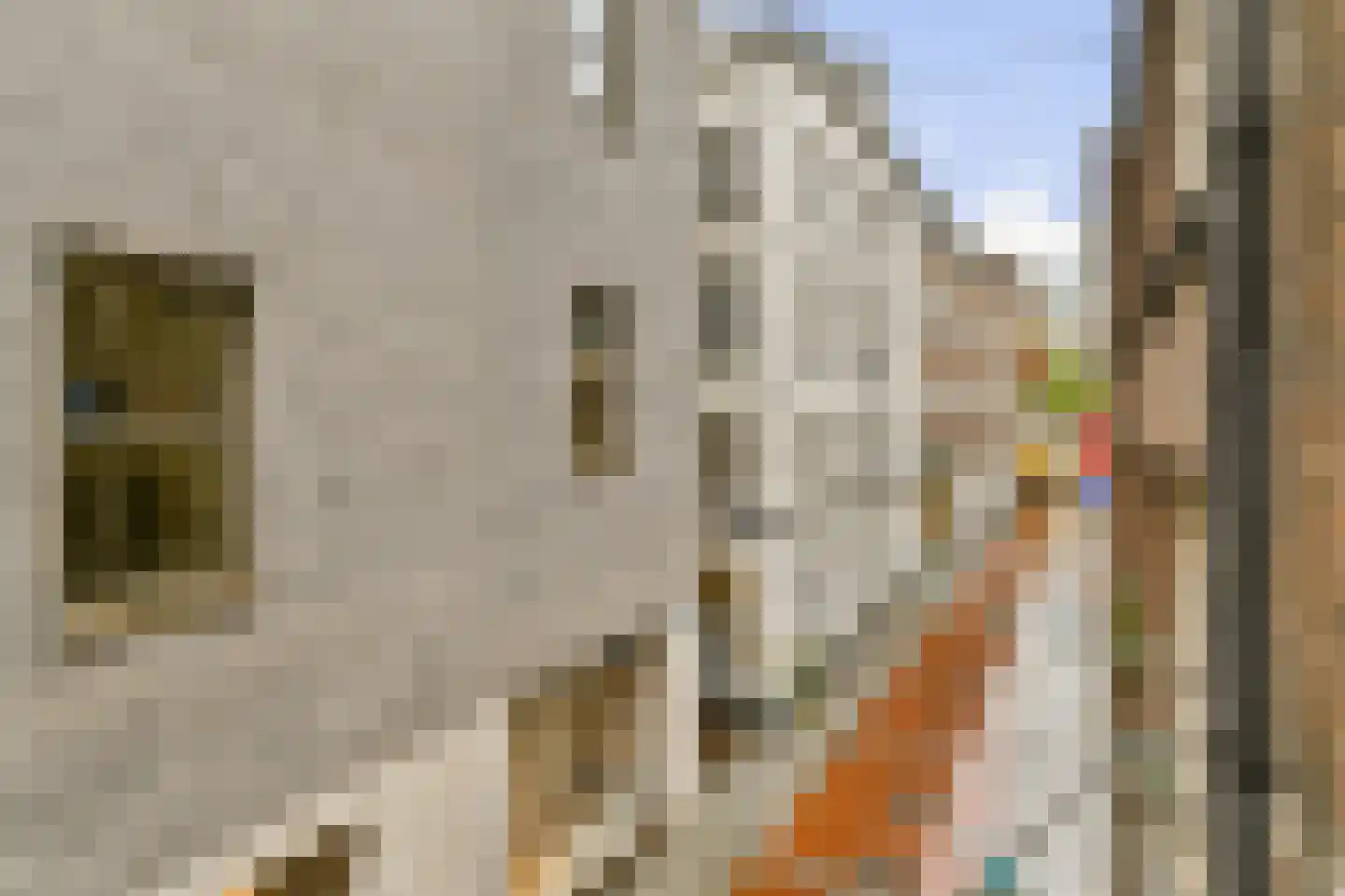 Pieter Jacobszstraat 8 C Amsterdam thumbnail 21