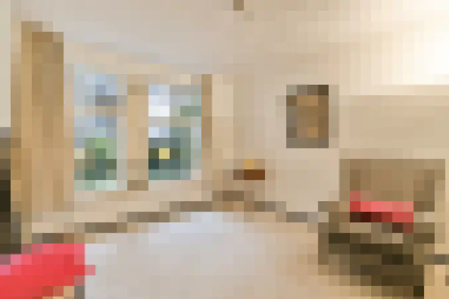 Pieter Jacobszstraat 8 C Amsterdam thumbnail 22
