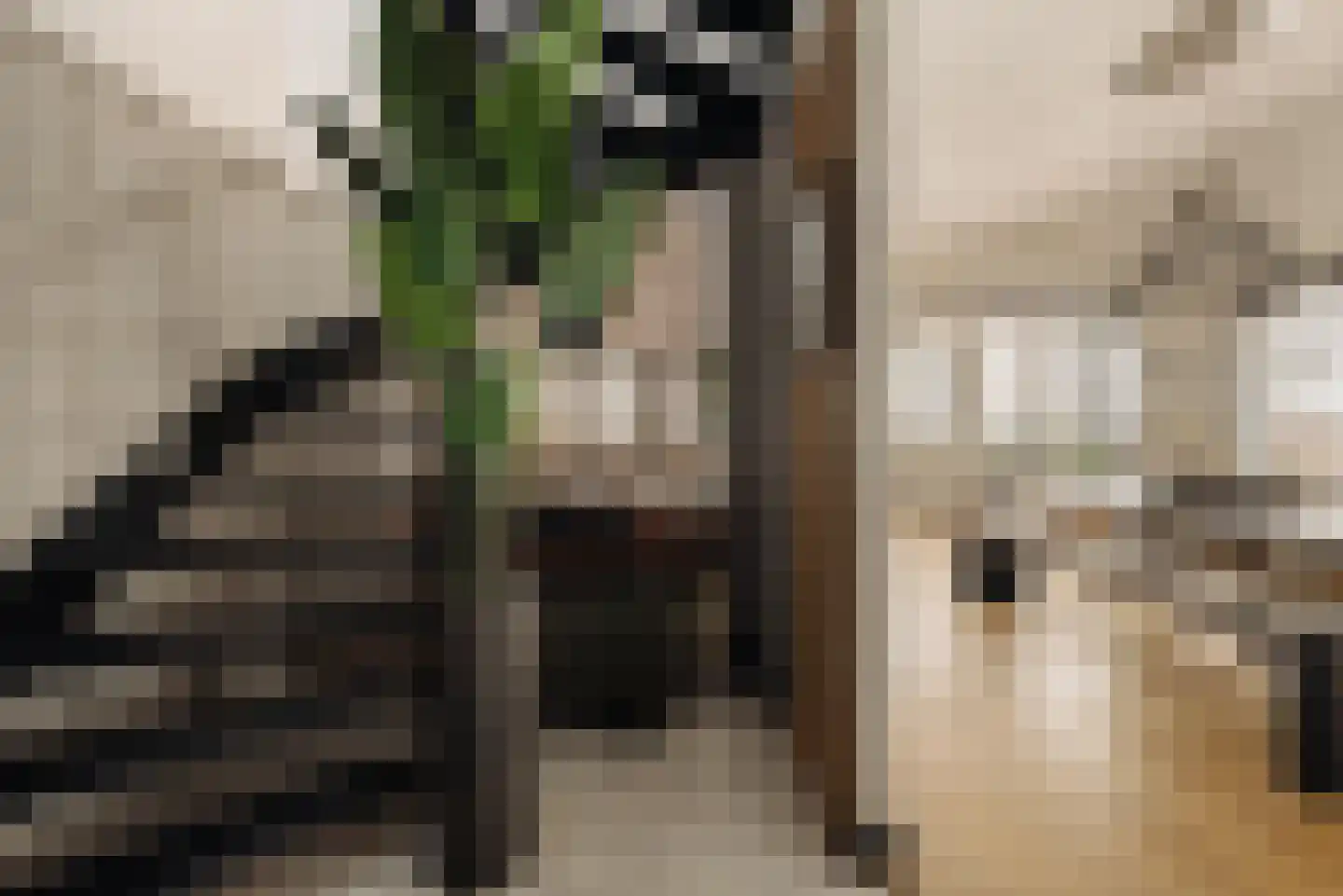 Pieter Jacobszstraat 8 D Amsterdam thumbnail 17