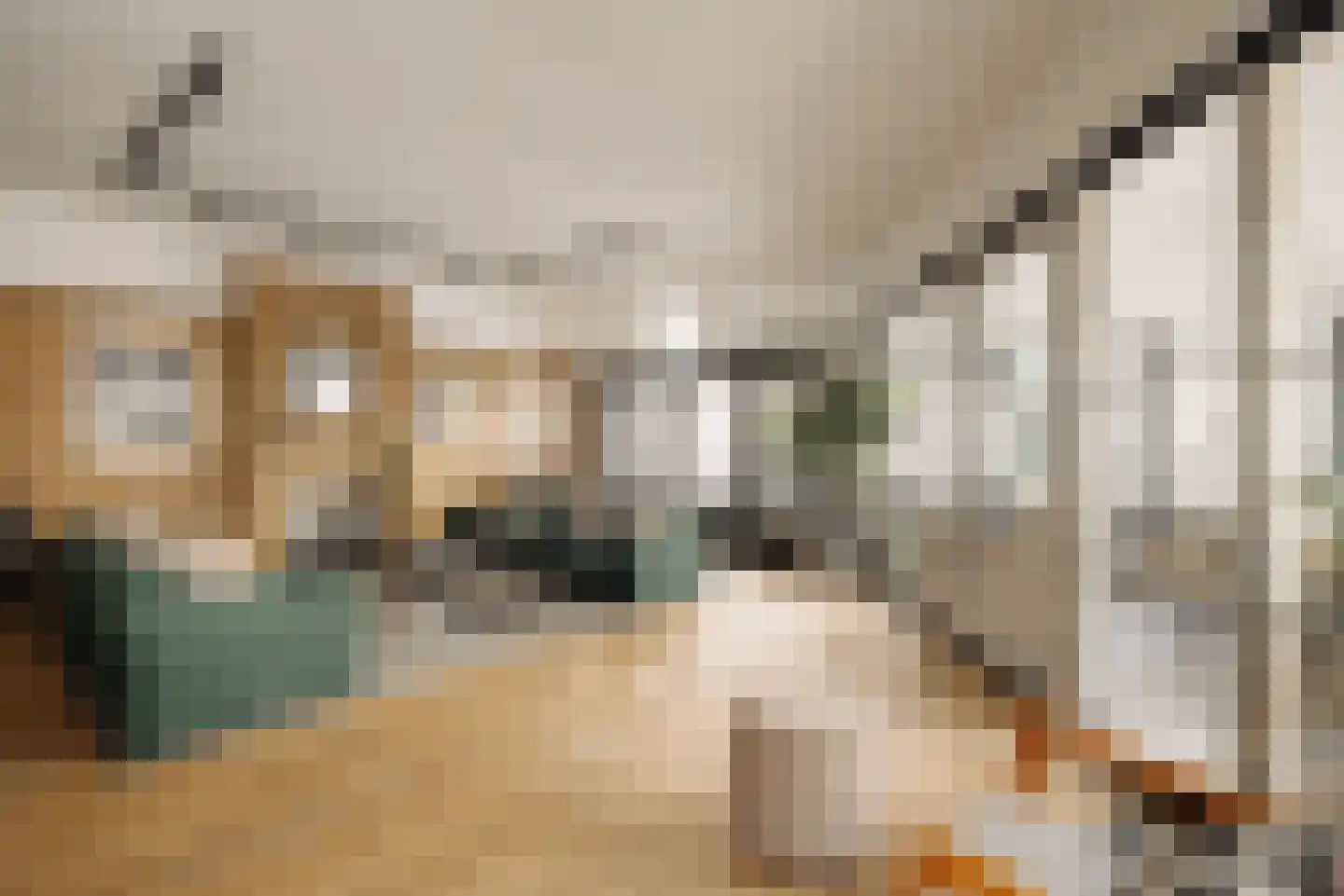 Pieter Jacobszstraat 8 E Amsterdam thumbnail 5