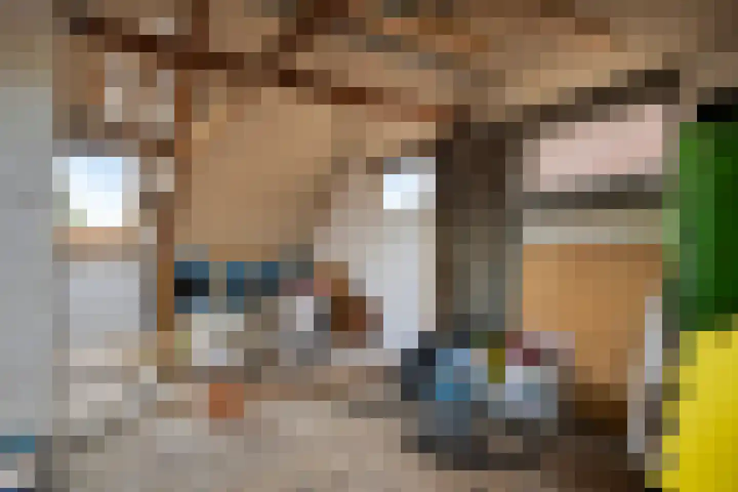 Pieter Janszoon Jongstraat 160 Lutjebroek thumbnail 43
