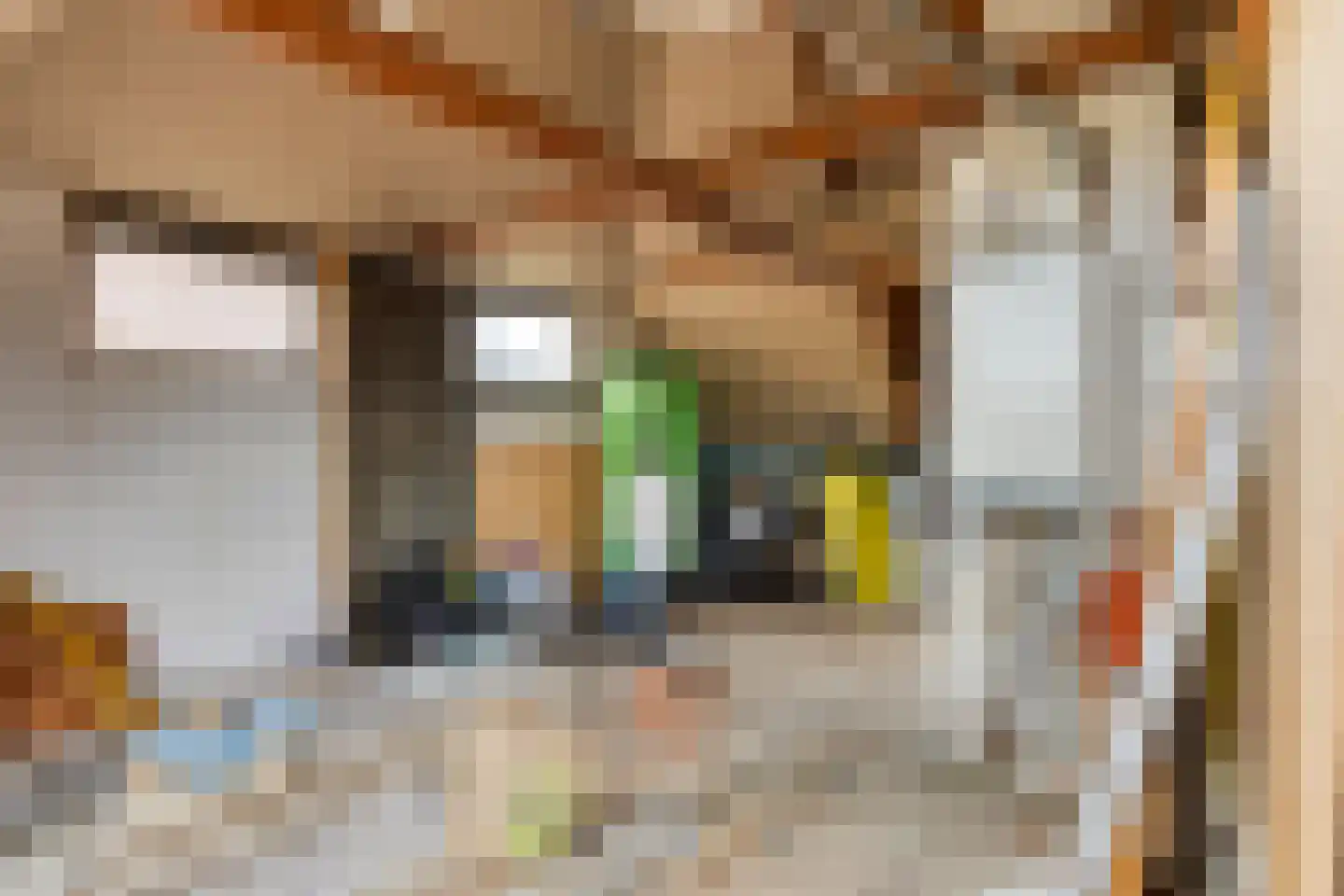 Pieter Janszoon Jongstraat 160 Lutjebroek thumbnail 45