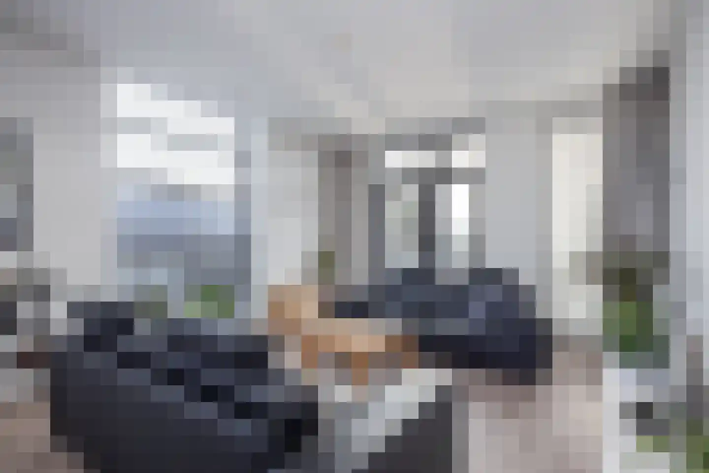 Pieter Janszoon Jongstraat 23 Lutjebroek thumbnail 12