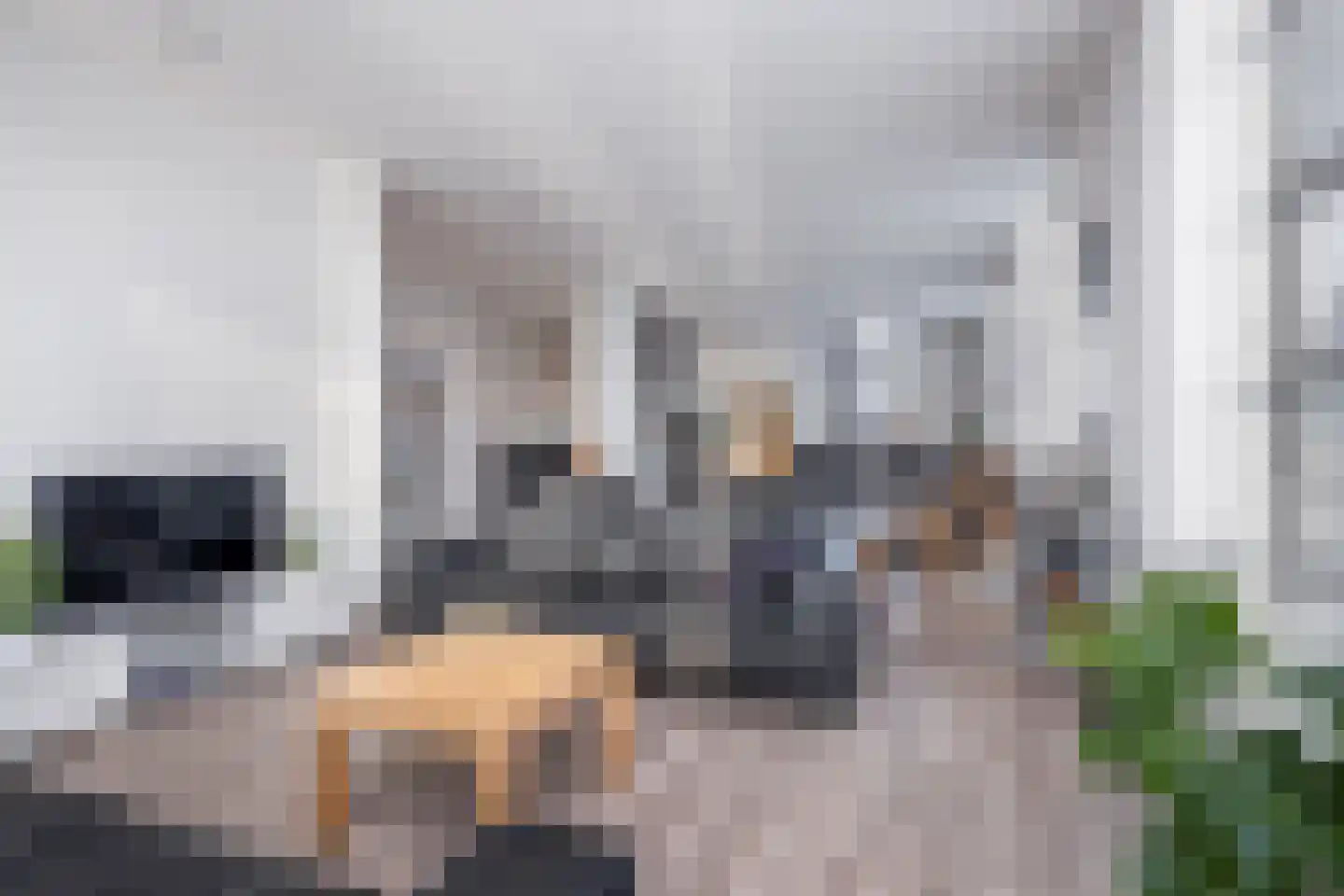 Pieter Janszoon Jongstraat 23 Lutjebroek thumbnail 13