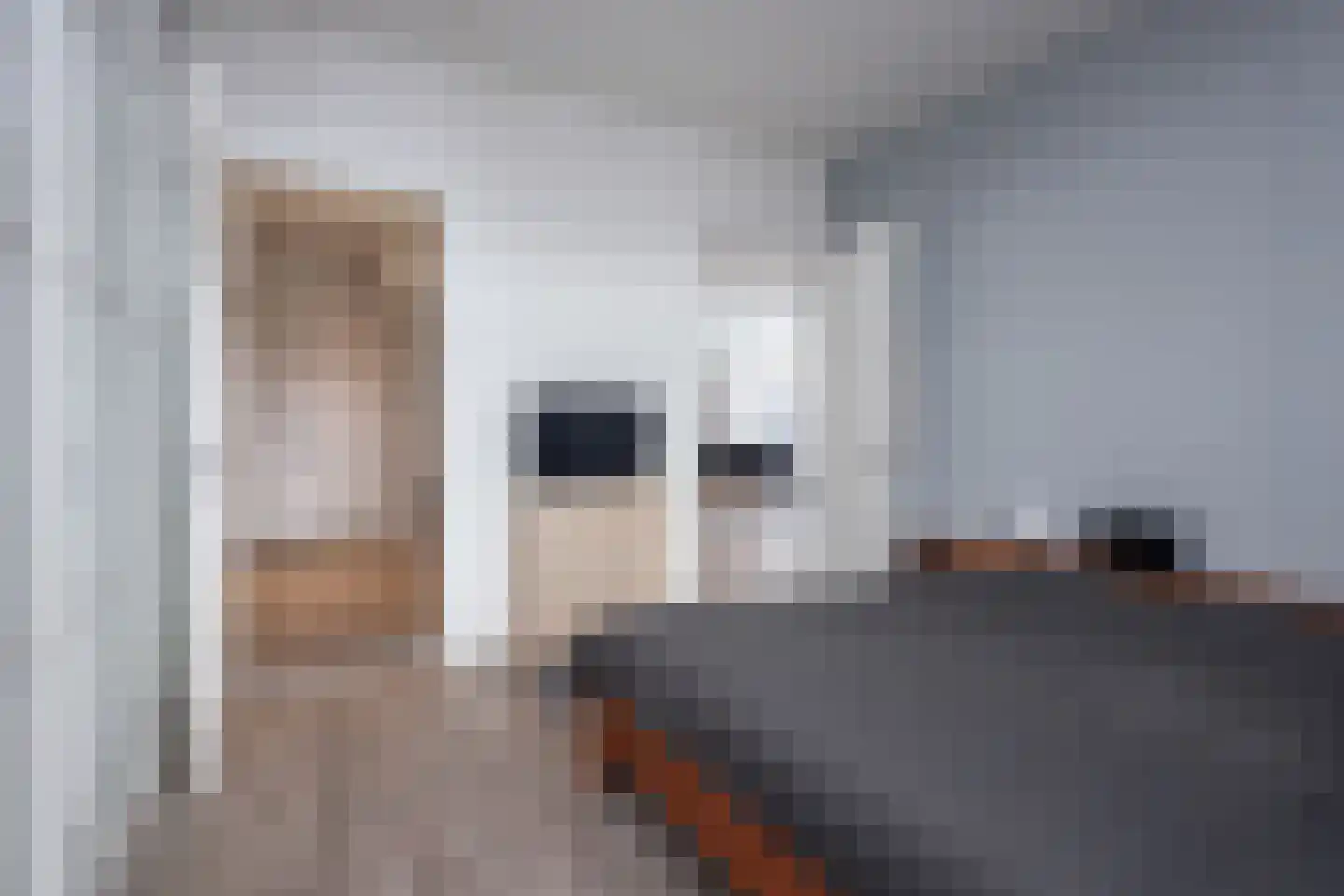Pieter Janszoon Jongstraat 23 Lutjebroek thumbnail 21