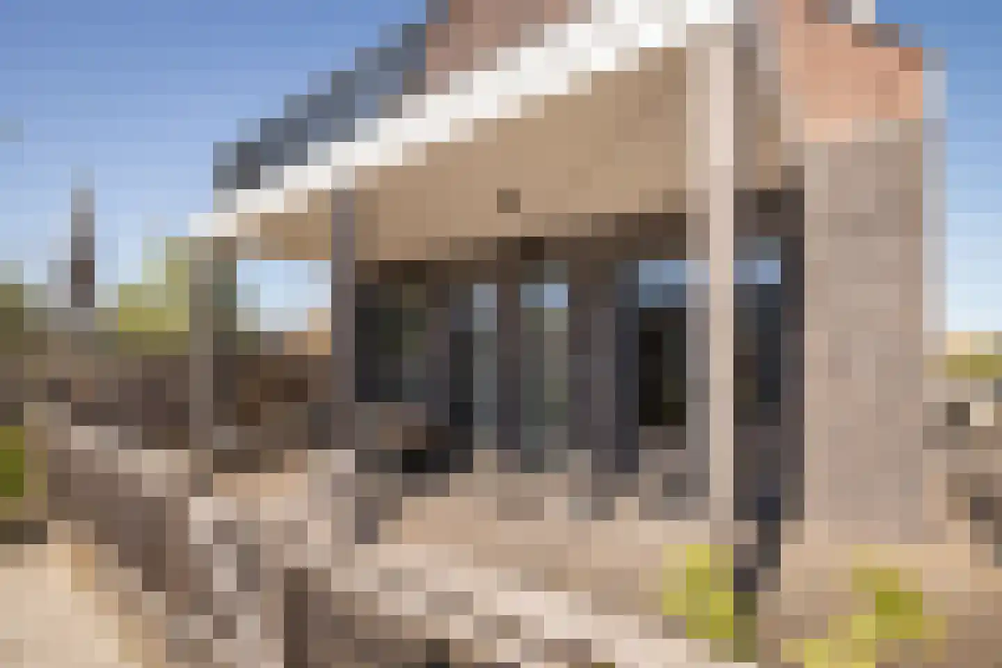 Pieter Janszoon Jongstraat 23 Lutjebroek thumbnail 34