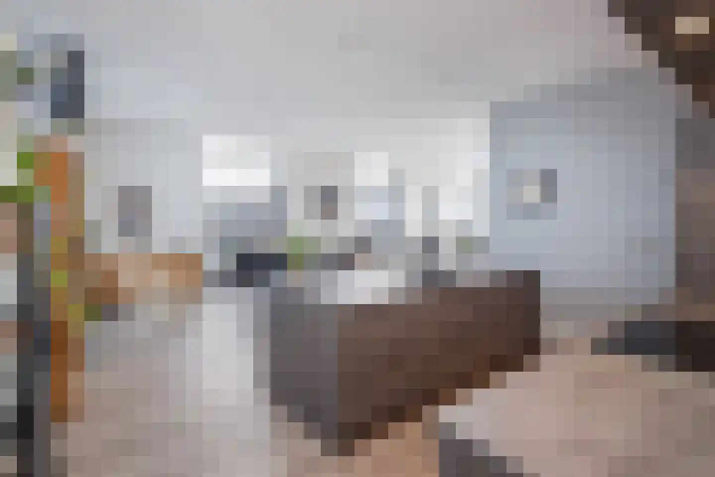 Pieter Janszoon Jongstraat 23 Lutjebroek thumbnail 8