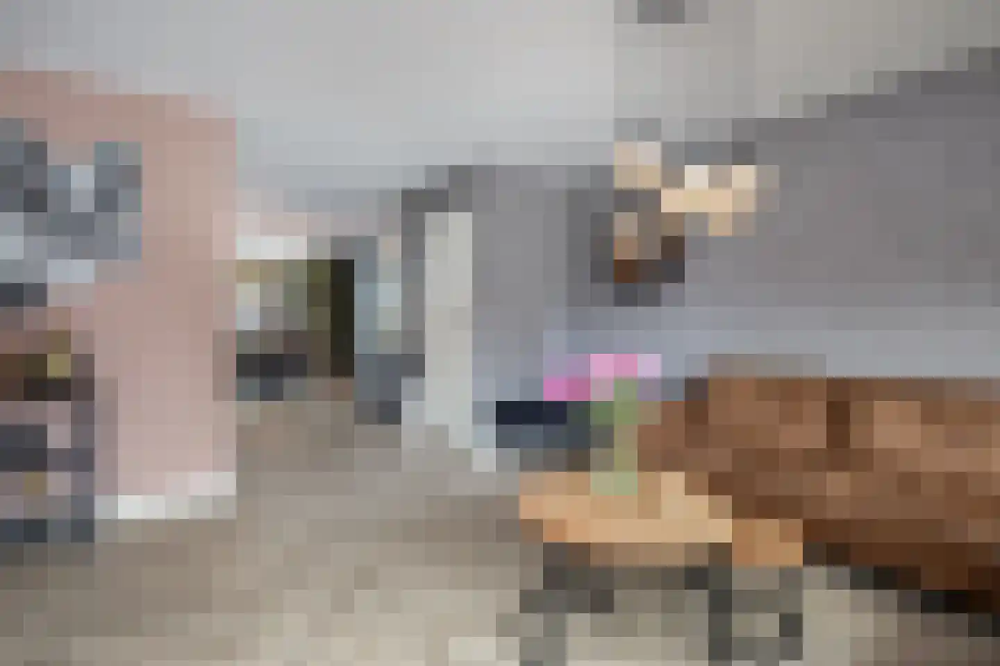 Pieter Janszoon Jongstraat 92 Lutjebroek thumbnail 10