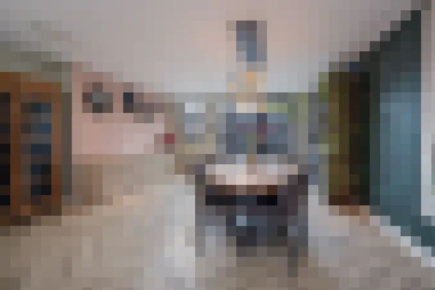 Pieter Janszoon Jongstraat 92 Lutjebroek thumbnail 11