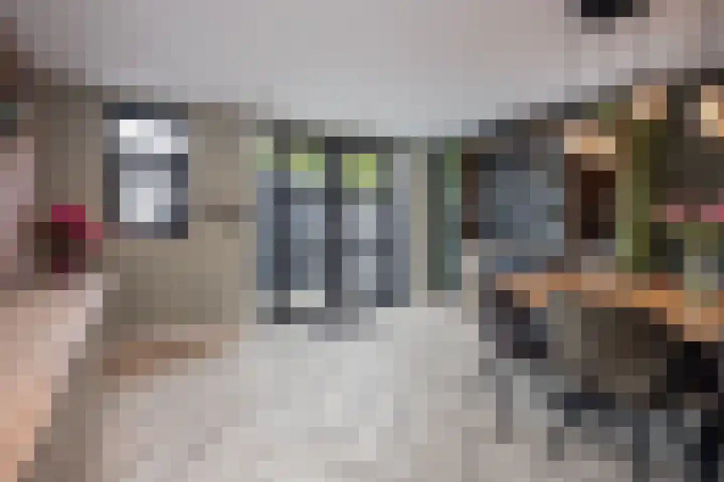 Pieter Janszoon Jongstraat 92 Lutjebroek thumbnail 12